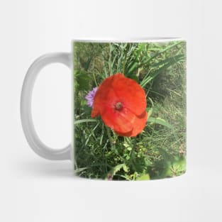 Little Red Poppy Mug